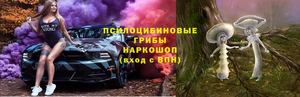 спайс Верея