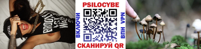 Псилоцибиновые грибы Psilocybine cubensis  Копейск 